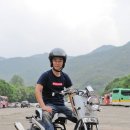 비본