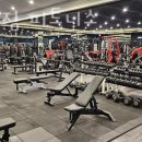 몸조아짐 피트니스 이미지