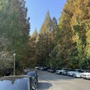 (주)글로벌마이스에스이 | 가을 단풍 명소 용인 한국외국어대학교 글로벌캠퍼스 포토존 주차 솔직후기