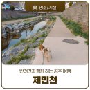 제민천1길,제민천3길 이미지