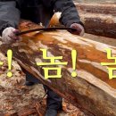 통나무이야기 Daum카페