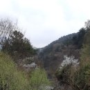 증심사길 이미지