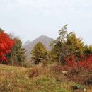 설악농장 이미지