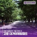 대가야농촌문화체험특구 카라반 | 고령 여름방학 가볼 만한 곳 고령 대가야체험캠프 물놀이장