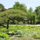 호암미술관 이미지