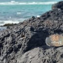 월령리사무소 이미지