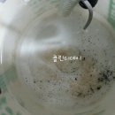 서울보일러경동귀뚜라미보일러