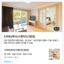 벨 | 단양 소노벨 EAST 스위트 취사 후기, 근처 마트, 시장 장보기 추천