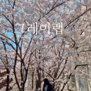 (주)레드랩게임즈 | 합정 벚꽃 카페 그레이랩 지금 벚꽃만개(25.4.7기준)