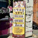 탑애견 | 울산 동구 남목 애견호텔 멍탑방 찐 후기! 애견유치원 픽업 가능