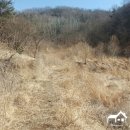 조아 태양광발전소 이미지