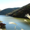 금봉저수지 이미지