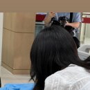 봄날의 강아지 이미지