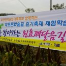 내포문화숲길_원효깨달음길_7코스_5 네이버블로그