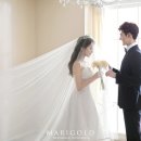스윗하모니 이미지