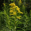 꽃소아청소년과의원 이미지