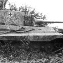 레스토리 이미지