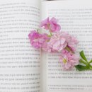 플라워맨카페(flower man cafe) 이미지