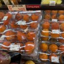 영진올바스켓