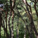 진안가스충전소 이미지