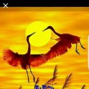 니캉내캉 이미지