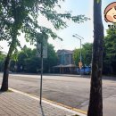 랏파랏파 이미지
