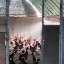 수안보농장 이미지