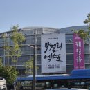 농업회사법인 (주) 에프앤피 | 2026 막걸리 엑스포 2년 연속 다녀온 후기(입장료 정보/막걸리 추천)