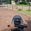 코냥코냥 이미지