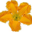 연못으로 이미지