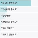 전현무계획2 냄비밥 백반집 영등포동 식당 손태진 기계공구상가
