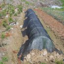 햇살그린농장 이미지