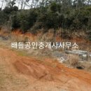 완도공인중개사사무소 이미지