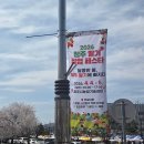 이강내쌀찐빵 | 청주 딸기팝업페스타 이강내쌀찐빵 딸기크림치즈빵 후기