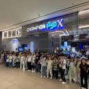 참피온키즈태권도 이미지