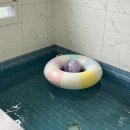 가평남이섬 블리스 풀빌라 펜션 이미지