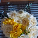 거제일식&거제목장 | W8. 상견례 / 거제일식 거제목장