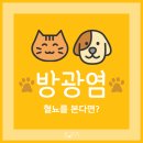 친구가 될 동물병원 이미지