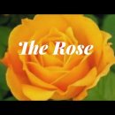 Bette Midler~The Rose 이미지