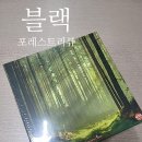 (주)인터플레이 | 검은 숲속의 유리 공방 ii 블랙 포레스트 완벽 정리 플레이후기
