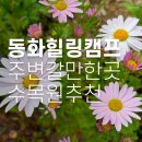 율곡식자재마트 | [파주] 동화힐링캠프에서 바베큐, 다음날 율곡수목원