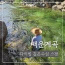 백운산 솔밭 앞 | 경기도 포천 백운계곡 수심깊은 다이빙 물놀이스팟 추천
