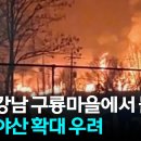 강남-230 이미지