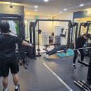 유어바디 이미지
