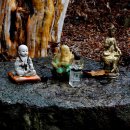 신하목장 이미지