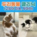 두리동물클리닉