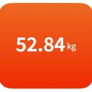 피나는 노력으로 한 | 헐리우드 48시간 후기 | 2일만에 -1kg 급찐살 다이어트 내돈내산 솔직 후기