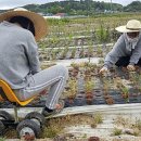 성동농장2 이미지