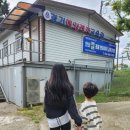 탄도항 | 안산 바다 위 힐링타임 탄도항 요트 무료체험 후기