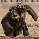 하나로양정 이미지